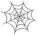 Spider web